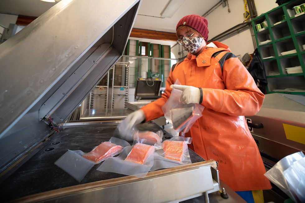 Alaskan Seafood and Fish Processing Coal Point Seafood Homer Alaska